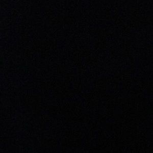 Meet your Posher, Buddy